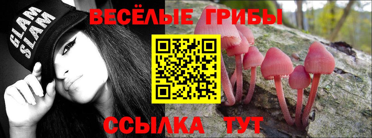 Севастополь  Псилоцибиновые грибы мицелий  купить   Вход с VPN 